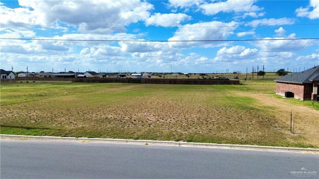 23217 Vista Drive, Monte Alto, TX 78538