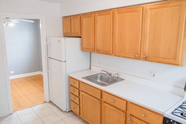 1537 William Street 1E, River Forest, IL 60305