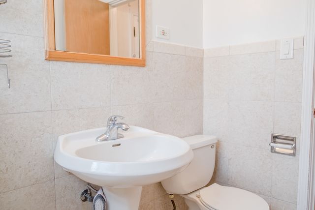 1537 William Street 1E, River Forest, IL 60305