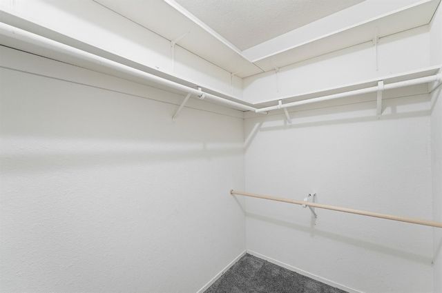 2037 Zeeland Ct, Modesto, CA 95356