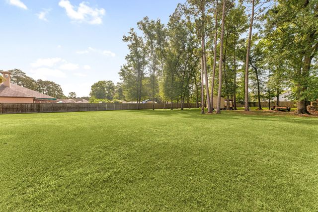 19534 Desna Drive, Porter, TX 77365