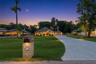 19534 Desna Drive, Porter, TX 77365
