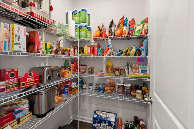 648 Chigwell Springs Lane, Summerville, SC 29486