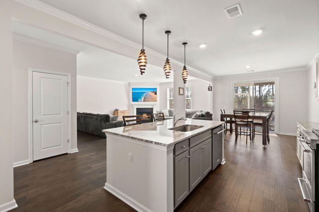 648 Chigwell Springs Lane, Summerville, SC 29486