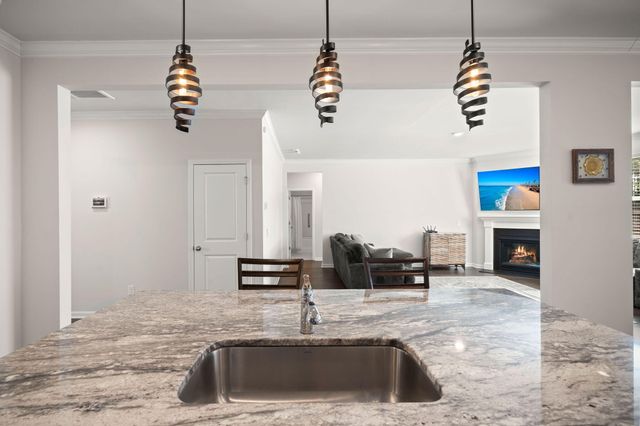 648 Chigwell Springs Lane, Summerville, SC 29486