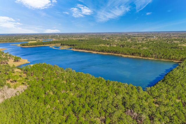 648 Chigwell Springs Lane, Summerville, SC 29486