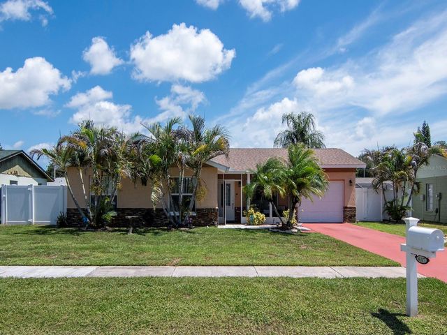 6317 FROST DRIVE, Tampa, FL 33625