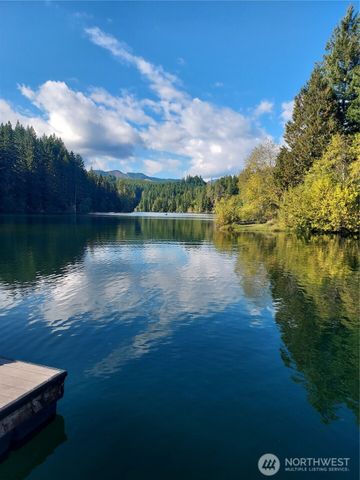 210 N Dow Creek Drive, Hoodsport, WA 98548