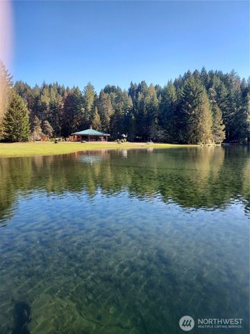 210 N Dow Creek Drive, Hoodsport, WA 98548
