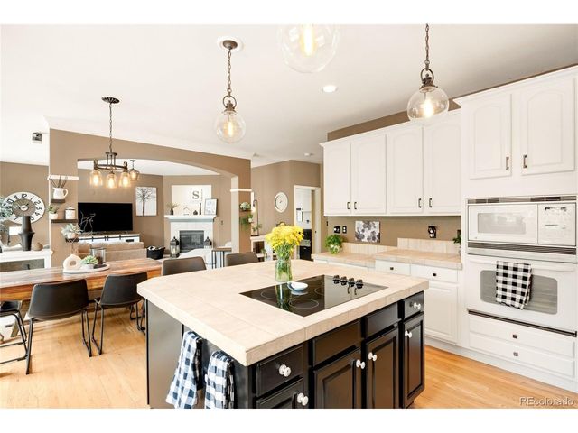 869 Shadowstone Dr, Highlands Ranch, CO 80129