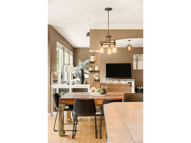 869 Shadowstone Dr, Highlands Ranch, CO 80129