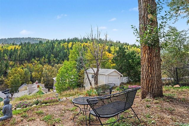 209 W 1st High Street, Central City, CO 80427