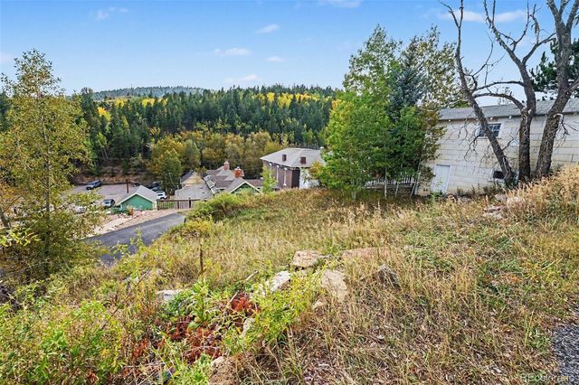 209 W 1st High Street, Central City, CO 80427