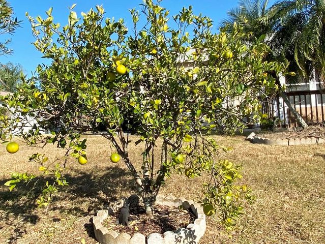 1019 PENGUIN PLACE, Lakeland, FL 33809