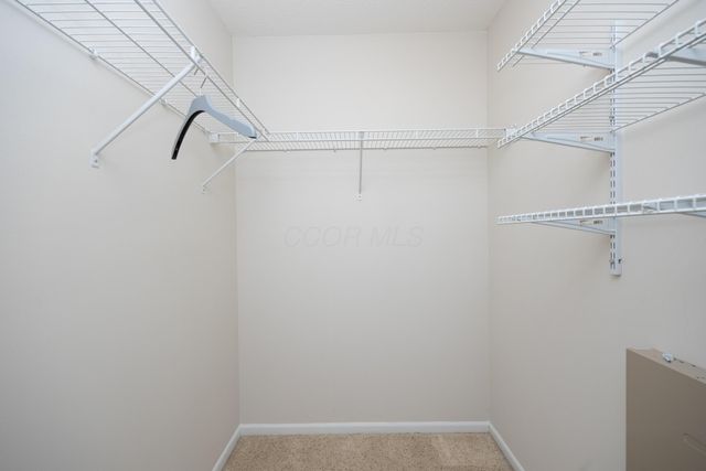 6012 Turnwood Drive, 704, Westerville, OH 43081