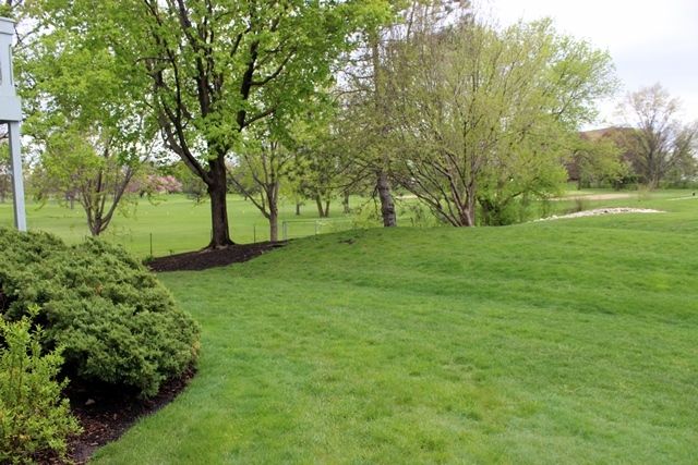 211 Blossom Court 211, Buffalo Grove, IL 60089