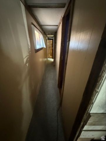 360 CHINLE AVE, Moab, UT 84532