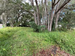 SE 99 TERRACE SE, Summerfield, FL 34491