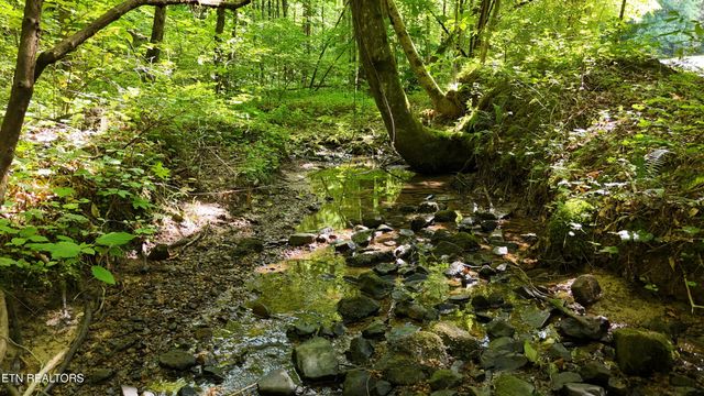 Lot 13/14 Clifton Cemetery Rd, Spring City, TN 37381