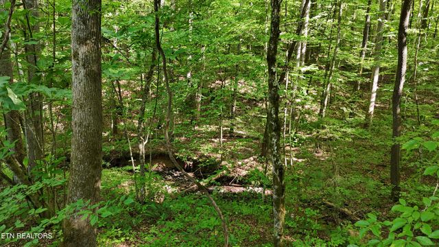 Lot 13/14 Clifton Cemetery Rd, Spring City, TN 37381