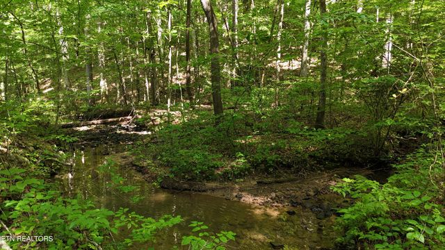 Lot 13/14 Clifton Cemetery Rd, Spring City, TN 37381