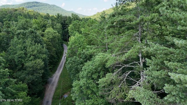 Lot 13/14 Clifton Cemetery Rd, Spring City, TN 37381