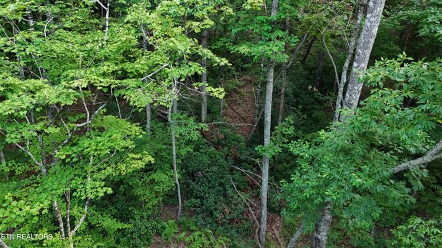 Lot 13/14 Clifton Cemetery Rd, Spring City, TN 37381