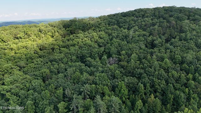 Lot 13/14 Clifton Cemetery Rd, Spring City, TN 37381