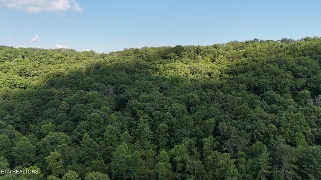 Lot 13/14 Clifton Cemetery Rd, Spring City, TN 37381