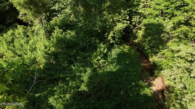 Lot 13/14 Clifton Cemetery Rd, Spring City, TN 37381