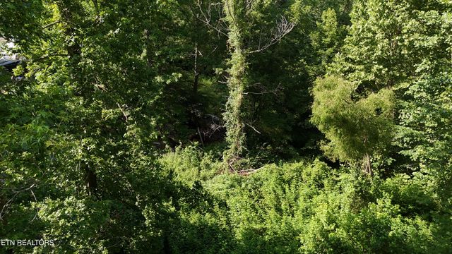 Lot 13/14 Clifton Cemetery Rd, Spring City, TN 37381