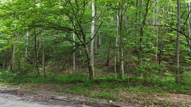 Lot 13/14 Clifton Cemetery Rd, Spring City, TN 37381