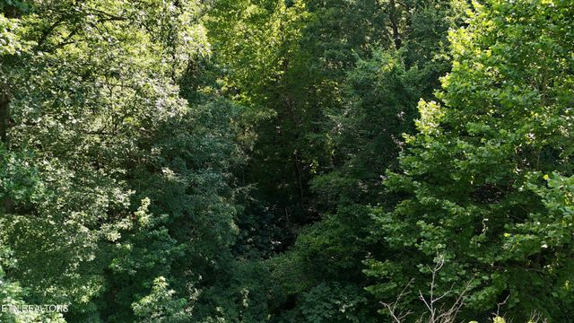 Lot 13/14 Clifton Cemetery Rd, Spring City, TN 37381