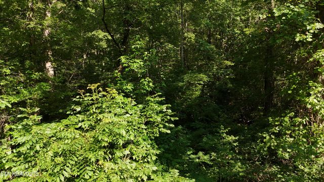 Lot 13/14 Clifton Cemetery Rd, Spring City, TN 37381