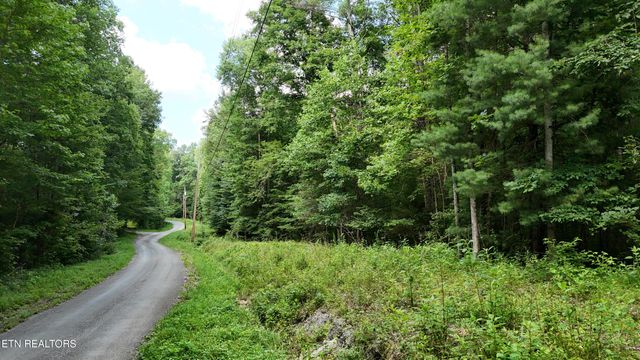 Lot 13/14 Clifton Cemetery Rd, Spring City, TN 37381