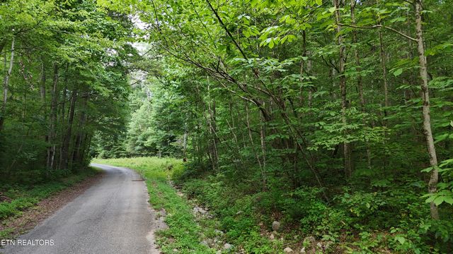 Lot 13/14 Clifton Cemetery Rd, Spring City, TN 37381