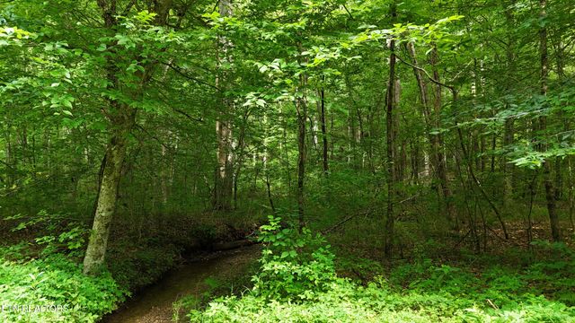 Lot 13/14 Clifton Cemetery Rd, Spring City, TN 37381
