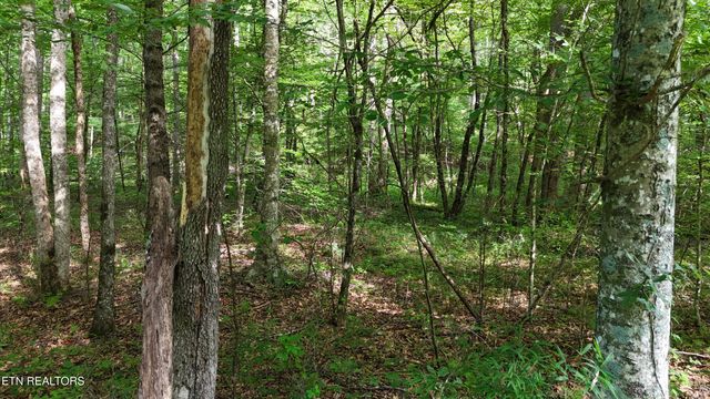 Lot 13/14 Clifton Cemetery Rd, Spring City, TN 37381