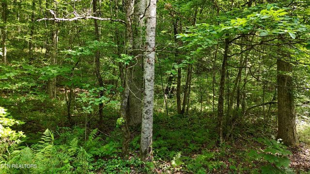 Lot 13/14 Clifton Cemetery Rd, Spring City, TN 37381