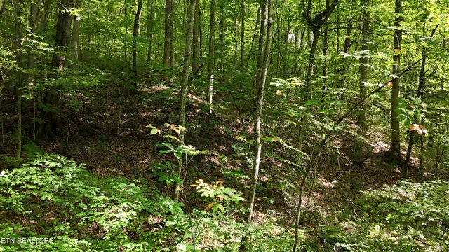 Lot 13/14 Clifton Cemetery Rd, Spring City, TN 37381