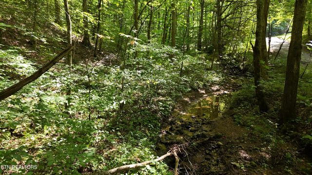 Lot 13/14 Clifton Cemetery Rd, Spring City, TN 37381