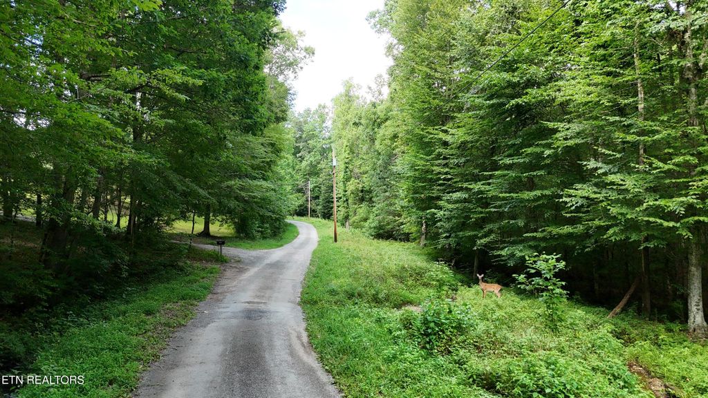Lot 13/14 Clifton Cemetery Rd, Spring City, TN 37381