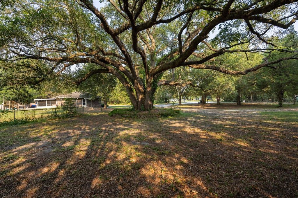 111 SW PRAIRIE STREET, Lake City, FL 32024