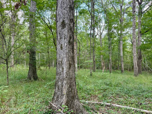 00006 Old Red Star Road, Wesson, MS 39191