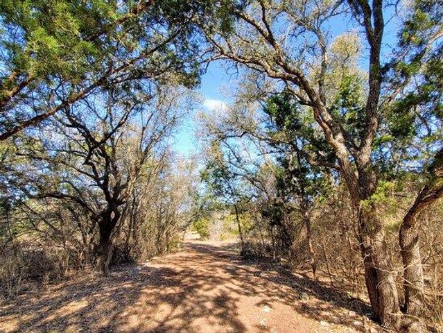 1412 White Daisy LN, Georgetown, TX 78628