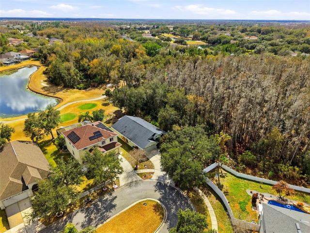 10426 LUCAYA DRIVE, Tampa, FL 33647