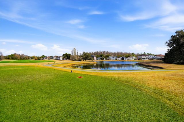 10426 LUCAYA DRIVE, Tampa, FL 33647