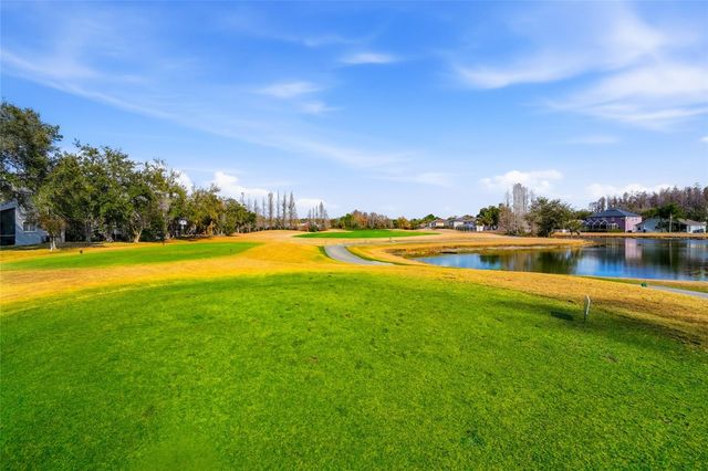 10426 LUCAYA DRIVE, Tampa, FL 33647