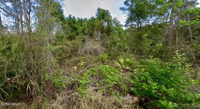 31217 Lorine Street, Deland, FL 32720