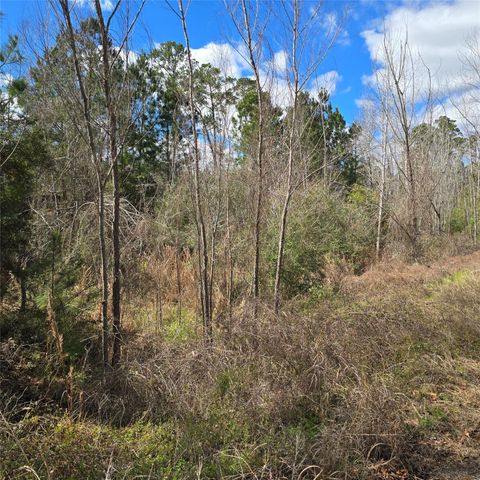 TBD N Kanaio DR, Bastrop, TX 78602